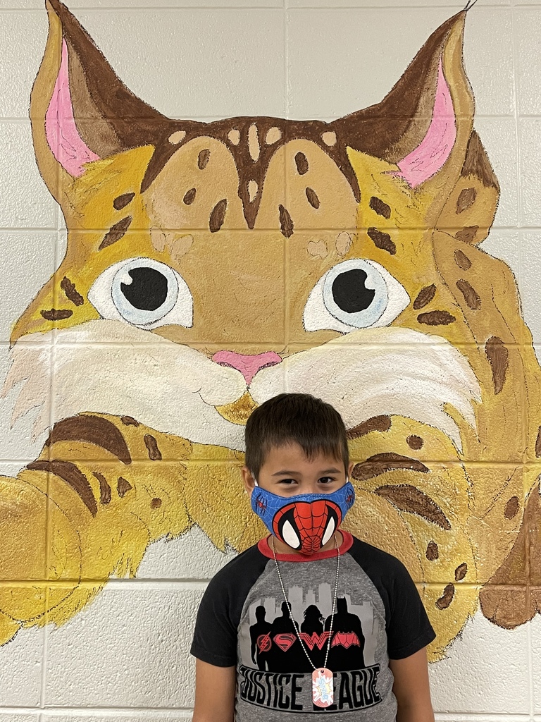 Junior Bobcat